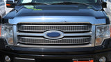 RZCHG-0005 Razer Auto Triple Chrome Hood Shield Guard Bug Deflector